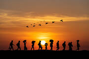 An image of people walking in a straight line with a sunset in the background and a flock of birds in the air