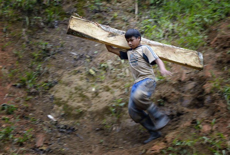 A boy carries a wooden timber destined for a mine tunnel in Pamintaran, a remote gold mining community near Maragusan on the Philippines' southern island of Mindanao.
