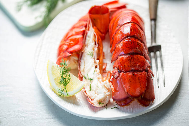 A fancy lobster dinner with lemon on the side.
