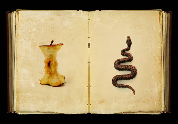 Book with an apple core on one page and a snake on the other page