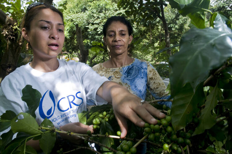 CRS fair trade coffee