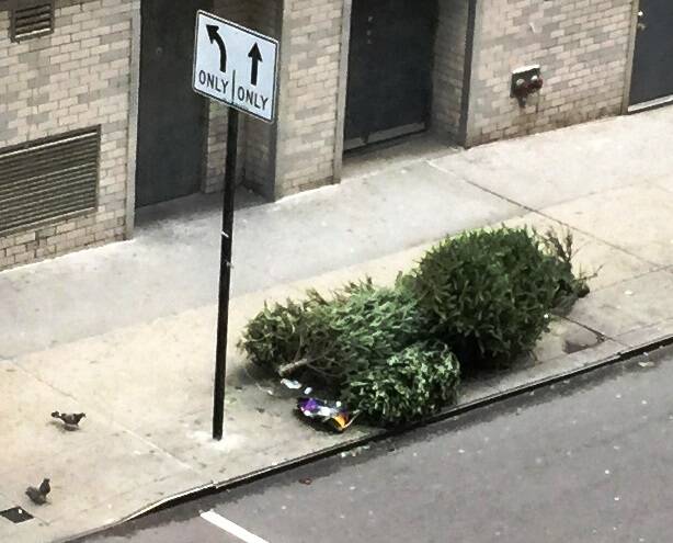 The Christmas Spirit Discarded on a Sidewalk