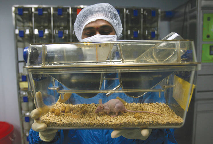 ￼A MOUSE’S LIFE. A pharmacologist checks the reaction on a hairless mouse after applying drugs for anti- tumor cancer at Natco Research Center in the Indian city of Hyderabad.