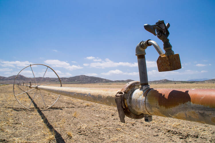 The water irrigation pipes in the dry Southern California farmland.(Courtesy Shutterstock)