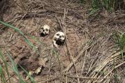 Human skulls suspected to belong to victims of a recent fight between the Congolese army and Kamuina Nsapu militia are seen on March 12 on the roadside near Kananga, Congo. (CNS photo/Aaron Ross, Reuters)