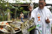 A priest sprinkles holy water on butterflies during the blessing of the animals in Manila, Philippines, 2012.