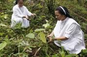 Catholic nuns plant mahogany tree saplings during a Feast of the Forest event in Cagueban town in the western Philippines, on June 30, 2012. Photo courtesy of Reuters/Romeo Ranoco