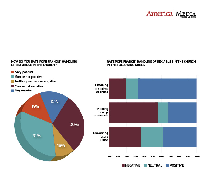 America Survey Results