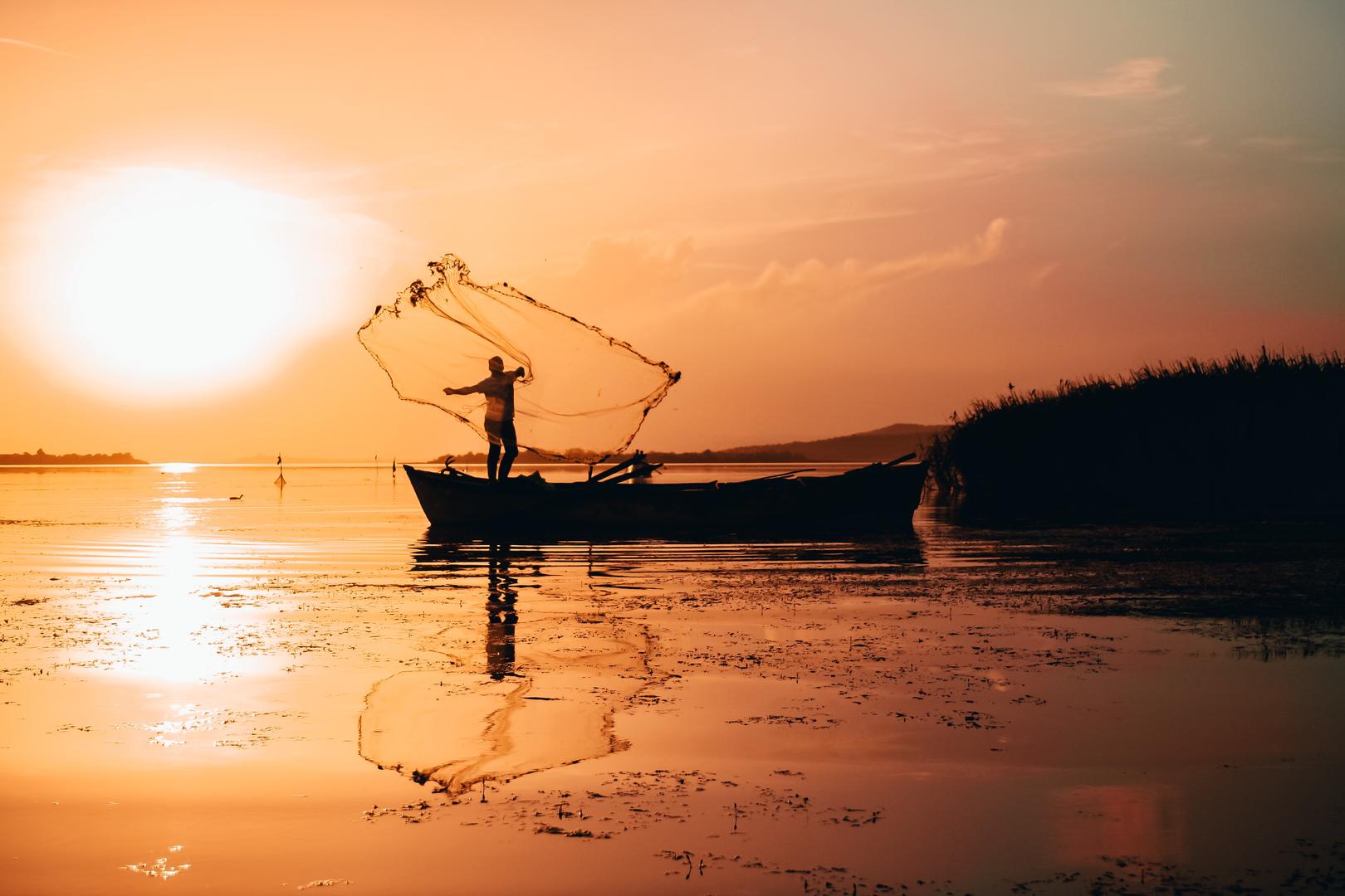 Casting a net