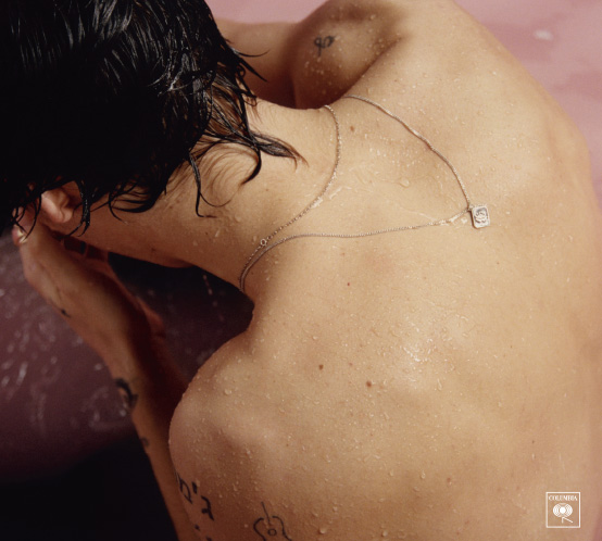 "Harry Styles"