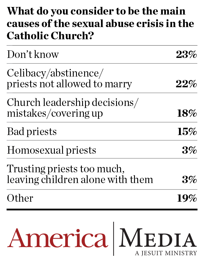 What are the main causes of the sexual abuse crisis?