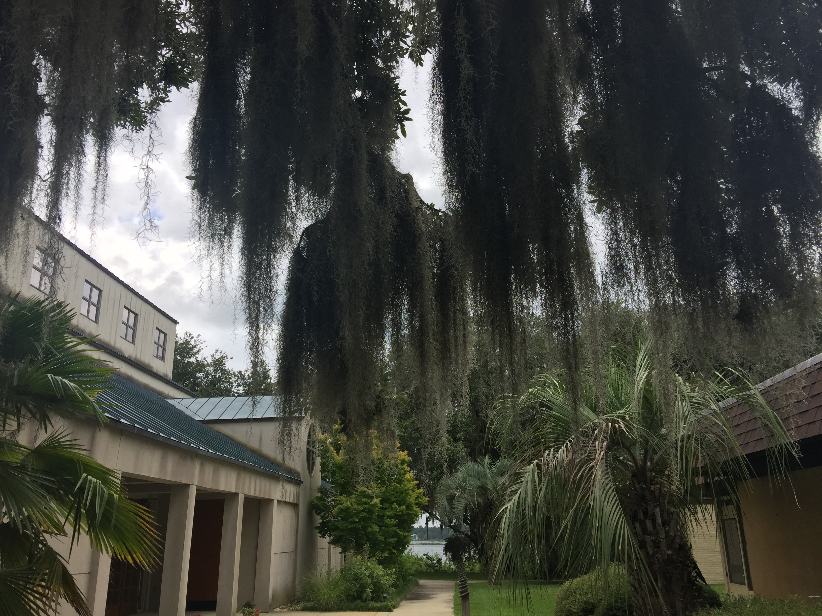 The grounds at Mepkin Abbey (Photo provided by Stephen Grant)