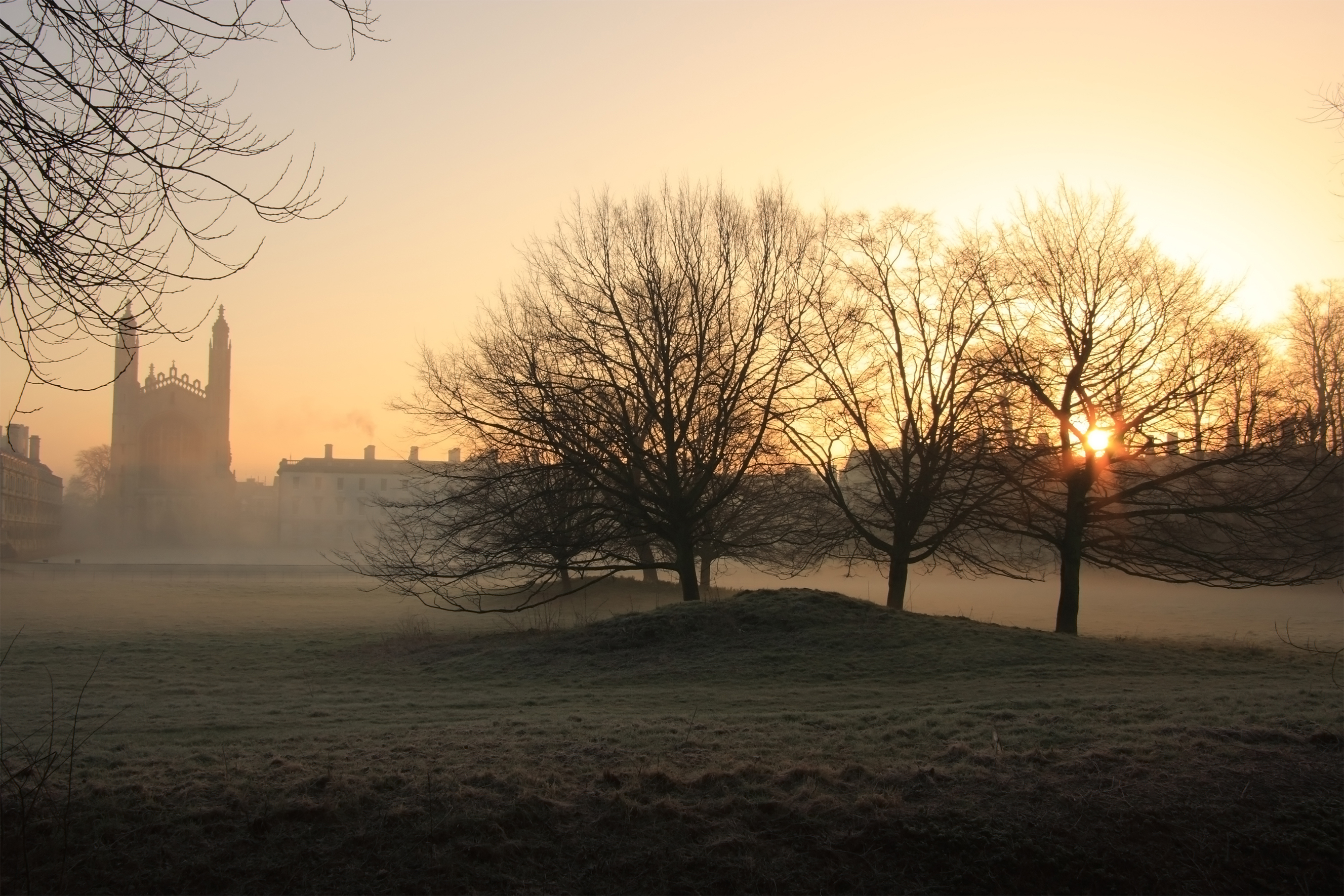 Cambridge University