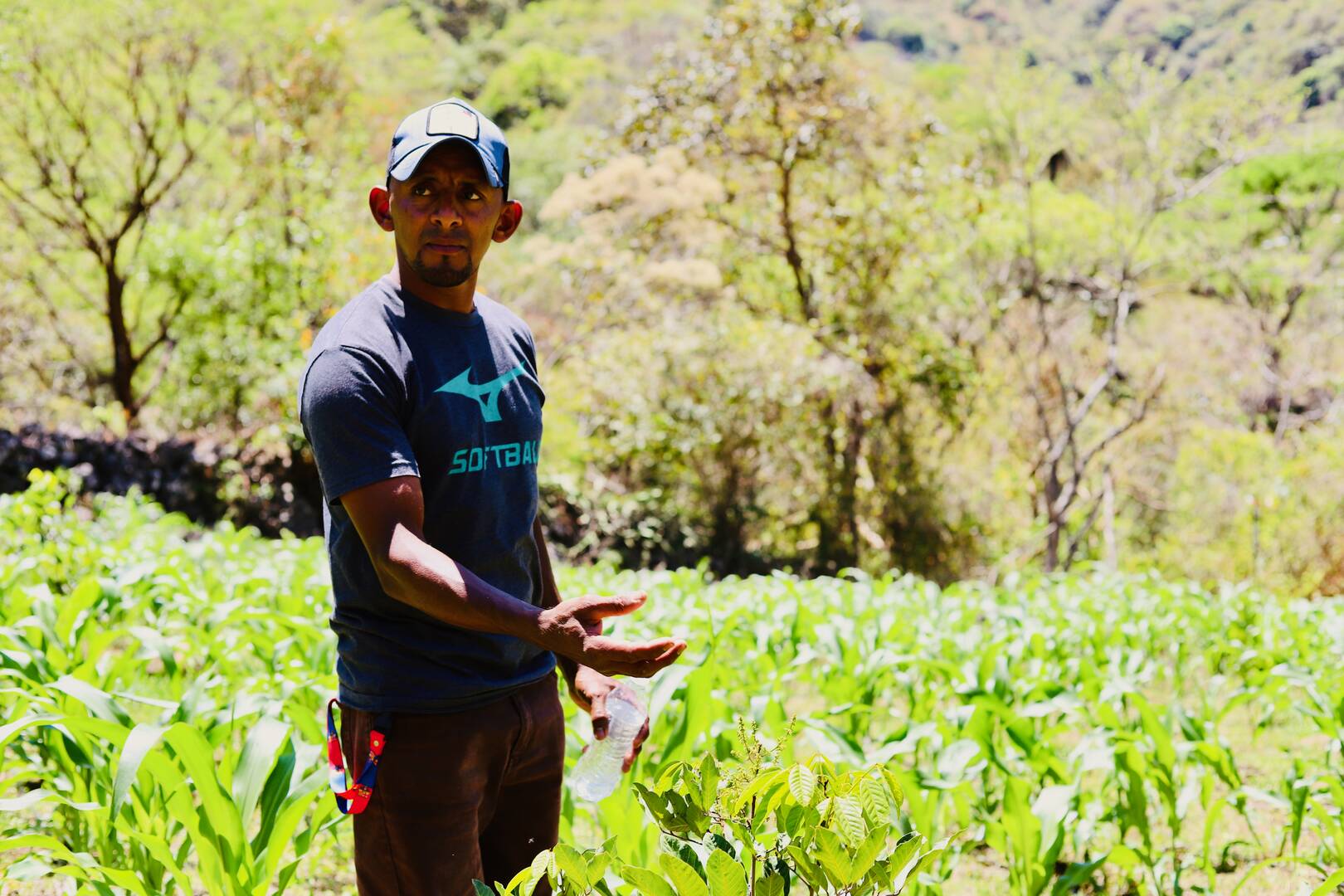 A farmer surveys his corn field in Honduras