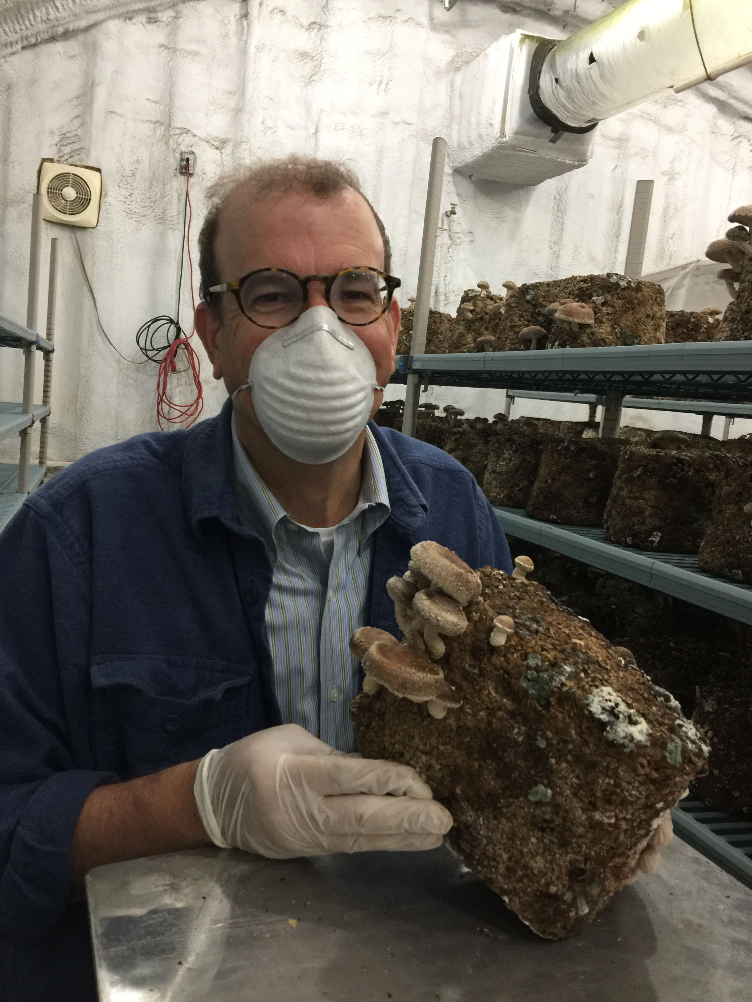 The author cleans a mushroom log at Mepkin Abbey (Photo provided by Stephen Grant)