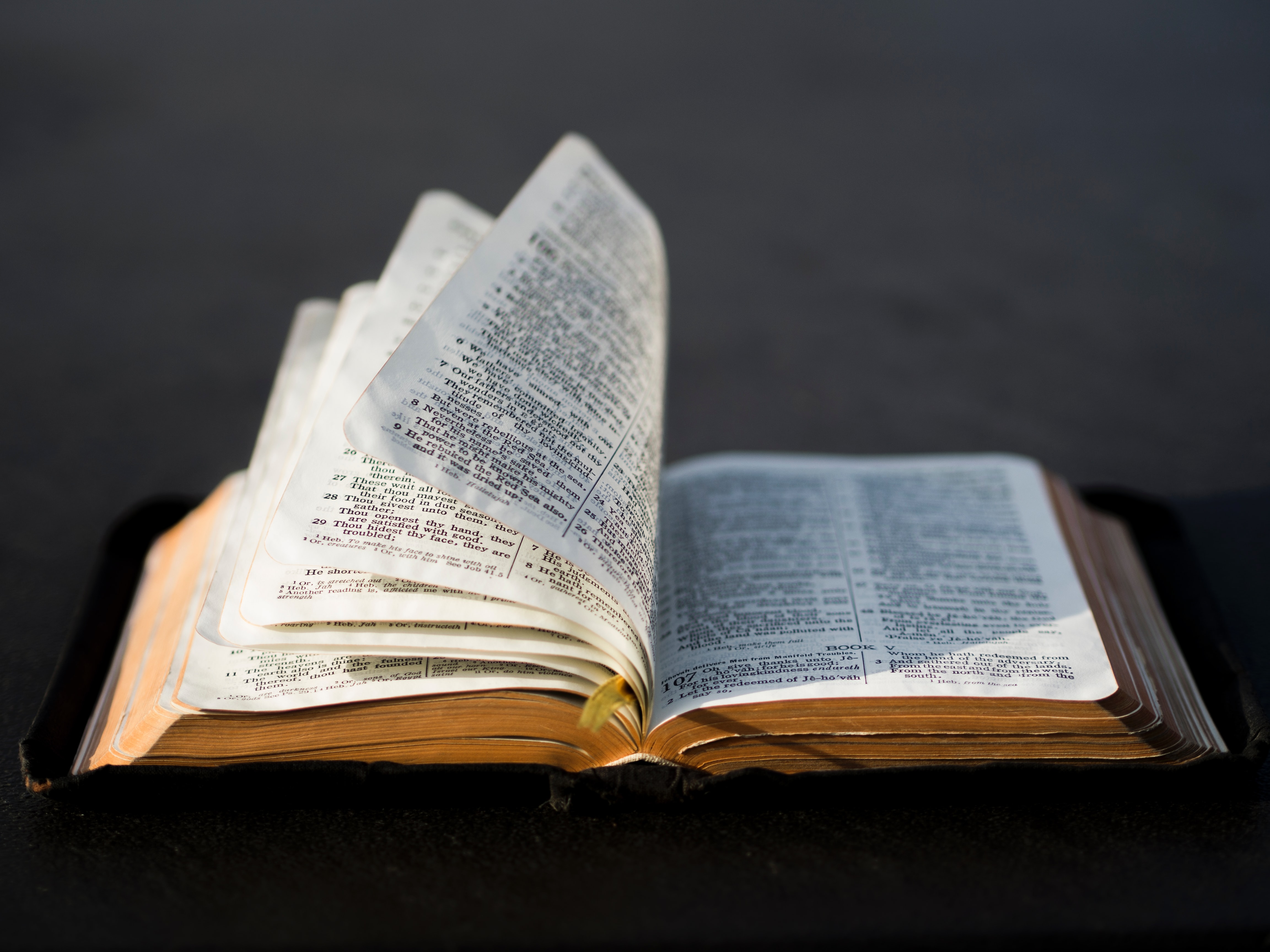 Bad news: We're more like the scribes and Pharisees than we'd like to admit  | America Magazine