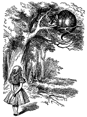 Image result for alice cheshire cat