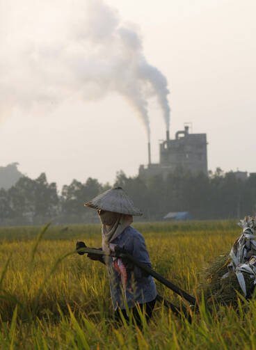 A farmer pulls a cart transporting grains on a rice paddy field near a cement factory just outside Hanoi, Vietnam. (CNS pho to/Kham, Reuters) 