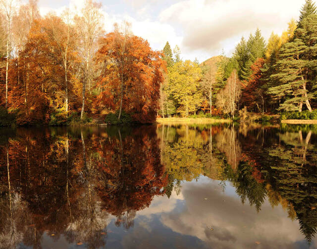 Autumn leaves are reflected on Loch Dunmore in Perthshire, Scotland (CNS photo/Russell Cheyne, Reuters)