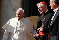 (CNS photo/Paul Haring) See POPE-AUDIENCE and POPE-JERUSALEM Nov. 19, 2014.