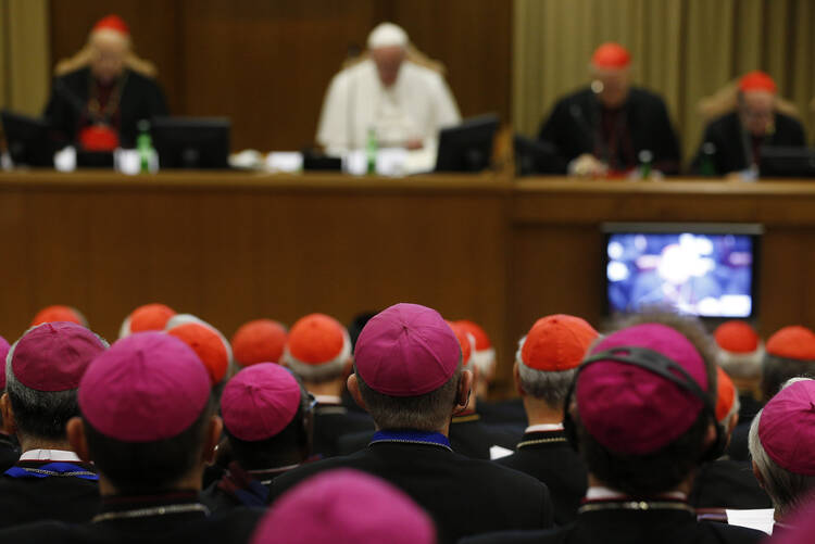 Bishops and cardinals attend a session of the Synod of Bishops on the family led by Pope Francis at the Vatican Oct. 23. (CNS photo/Paul Haring)