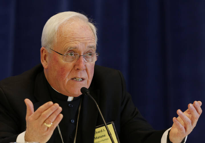 Bishop Richard J. Malone of Buffalo, N.Y., speaks during a news conference Nov. 16 during the 2015 fall general assembly of the U.S. Conference of Catholic Bishops in Baltimore. (CNS photo/Bob Roller) 