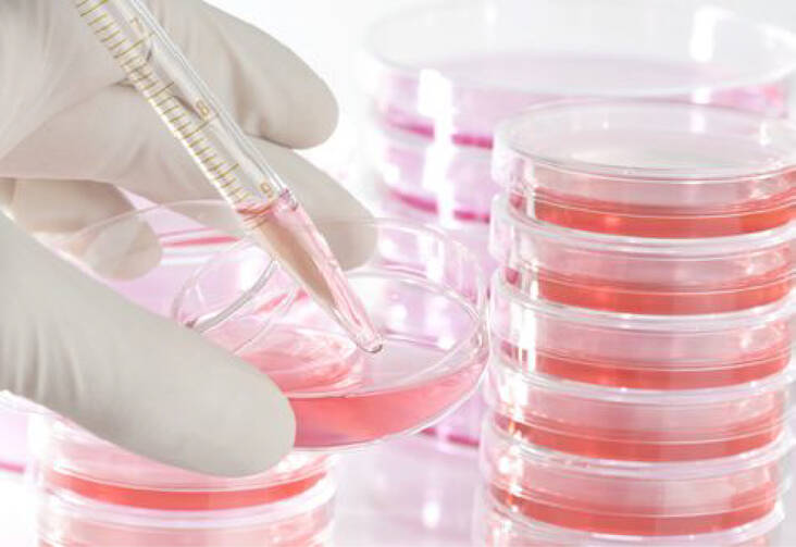 A scientist places liquid in a petri dish at the John Paul II Medical Research Institute in Iowa City, Iowa, in this undated photo. (CNS photo/courtesy John Paul II Medical Research Institute)