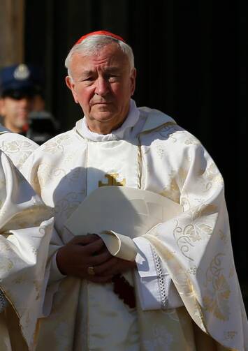 Cardinal Vincent Nichols of Westminster, England, is seen at the Vatican in this 2014 file photo. In a program to be aired on ITV, he apologized to unmarried women pressured by the church to hand over their children for adoption. (CNS photo/Paul Haring)