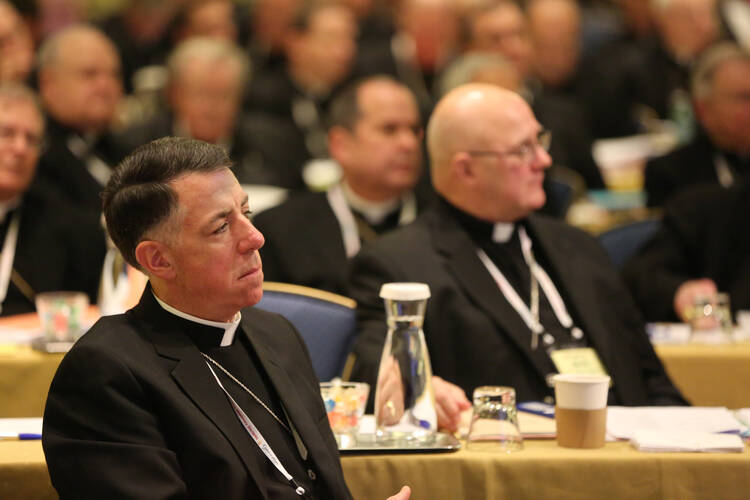 Bishop James F. Checchio of Metuchen, N.J., listens to a speaker during last year's fall general assembly of the U.S. Conference of Catholic Bishops in Baltimore. (CNS photo/Bob Roller)