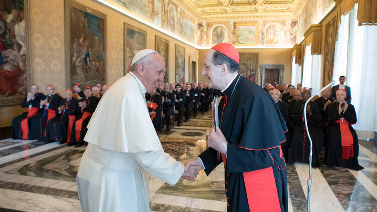  Pope Francis greets Cardinal Beniamino Stella, prefect of the Congregation for Clergy, during an audience with participants in the plenary assembly of the Congregation for Clergy at the Vatican June 1.