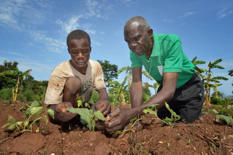 Nigerian Marist Brother Christian Mbam, right, talks with a farmer on a church-sponsored farm in Riimenze, South Sudan. Brother Mbam serves as a technical consultant to a religious-run agricultural project. (CNS photo/Paul Jeffrey)