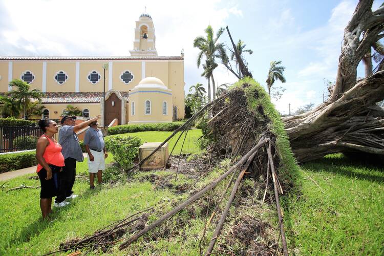 Parishioners point at a fallen tree uprooted on the grounds of St. Mary Cathedral in Miami after the passing of Hurricane Irma in September. (CNS photo/Marlene Quaroni, Florida Catholic newspaper)