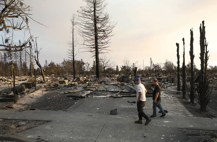 A neighborhood destroyed by wildfire in Santa Rosa, Calif. The Diocese of Santa Rosa "has been hit hard" and "is in an ongoing state of uncertainty" because of Northern California wildfires that began the night of Oct. 8, said Bishop Robert F. Vasa. (CNS photo/Jim Urquhart, Reuters)