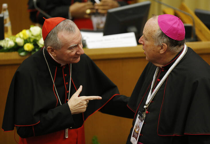 Cardinal Pietro Parolin, Vatican secretary of state, talks with Bishop Robert W. McElroy of San Diego during a conference on building a world free of nuclear weapons, at the Vatican Nov. 10. (CNS photo/Paul Haring)