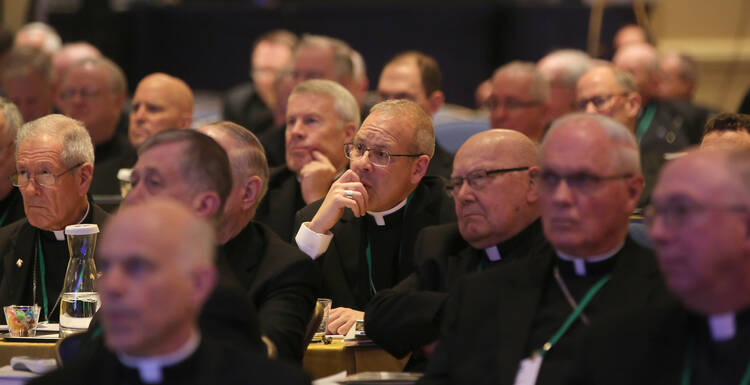 Bishops listen to a speaker on Nov. 14 at the fall general assembly of the U.S. Conference of Catholic Bishops in Baltimore. (CNS photo/Bob Roller) 