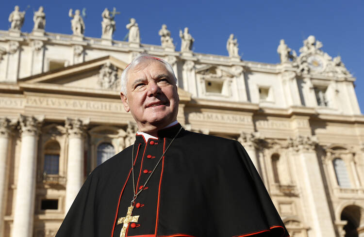 Cardinal Gerhard Muller in November 2014. (CNS photo/Paul Haring)