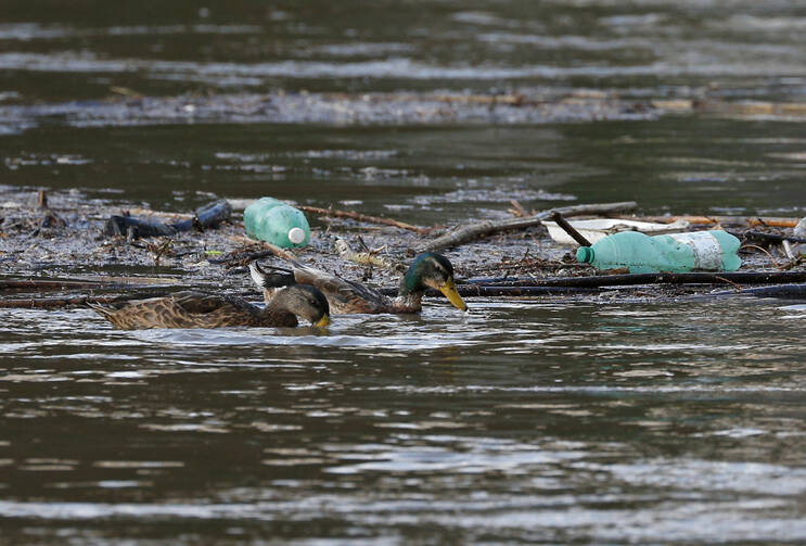 Ducks swim past plastic bottles and other debris floating on the Tiber River in Rome July 28, 2019. In his 2015 encyclical, "Laudato Si', on Care for Our Common Home," Pope Francis said that "the earth, our home, is beginning to look more and more like an immense pile of filth." (CNS photo/Paul Haring)