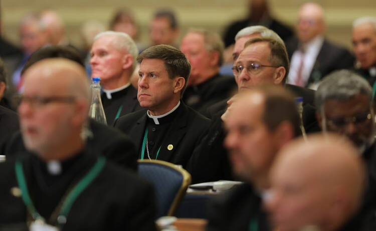 Bishops attend the fall general assembly of the U.S. Conference of Catholic Bishops in Baltimore Nov. 11, 2019. (CNS photo/Bob Roller) 