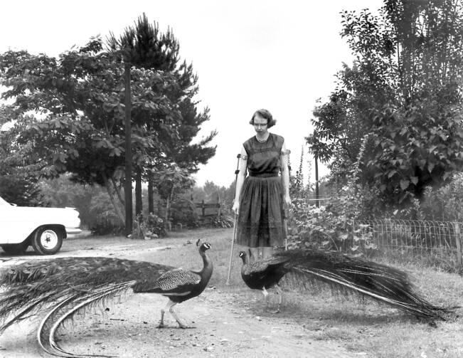 Flannery O’Connor and her peacocks (photo: Joe McTyre)
