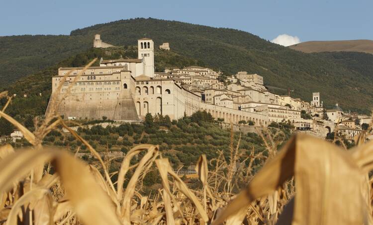 In this 2011 file photo, the Basilica of St. Francis with its bell tower is pictured beyond a field of corn in Assisi, Italy. (CNS photo/Paul Haring)