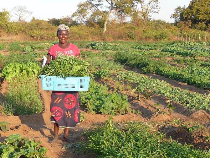 A Zambian woman poses for a photo holding produce cultivated on the Jesuit-run Kasisi Agricultural Training Centre. The center promotes organic, ecologically sustainable, no-till farming for small-scale farmers. (CNS photo courtesy Canadian Jesuits International)