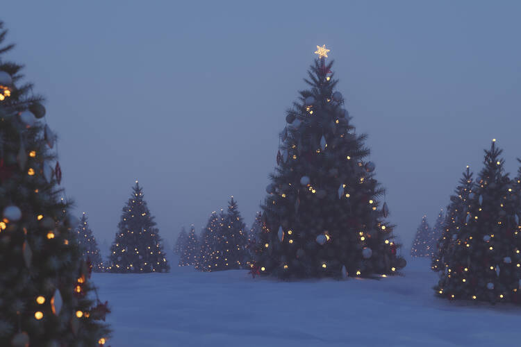 We don t need to be afraid of the Christmas tree s pagan roots America Magazine
