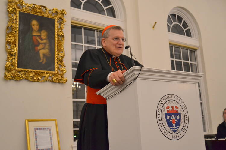 Cardinal Burke speaking in April 2015 at a university podium.