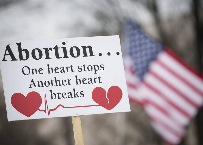 A pro-life sign is displayed during the 2019 annual March for Life rally in Washington. (CNS photo/Tyler Orsburn)