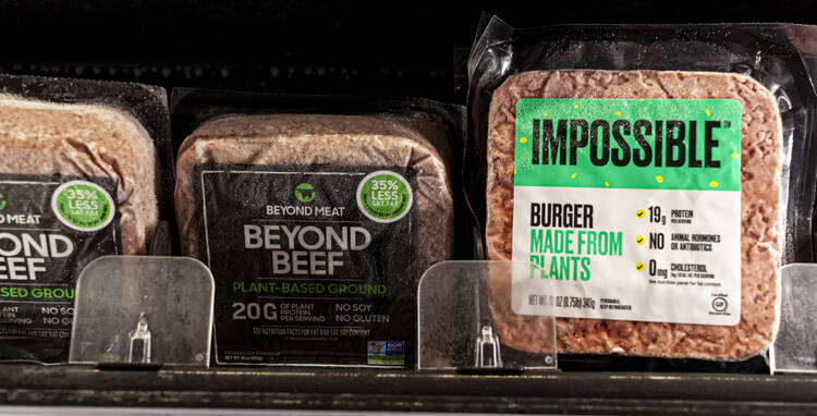 Factory-produced fake meat is not necessarily the solution to factory farming. (iStock/Grandbrothers)