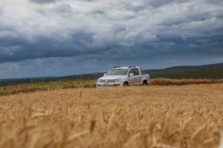 A Volkswagen pickup truck in a field of grain under a stormy gray sky.