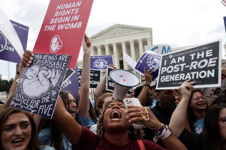 a crowd of protesters before the Supreme Court hold signs which say "I am the post-roe generation" and "human rights begin in the womb" while the foremost protester shouts into a megaphone