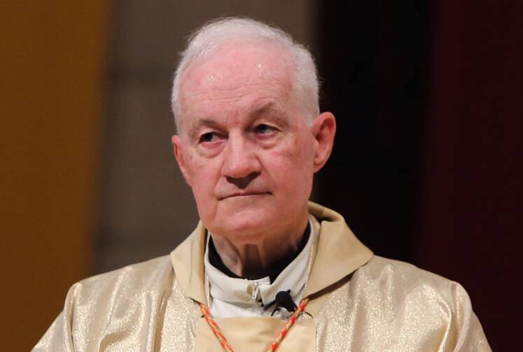 cardinal marc ouellet, prefect of the vatican's dicastery of bishops, wears his vestments in a file photo