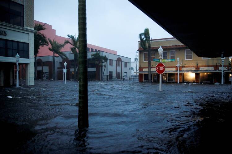 Buildings and palm trees are covered by floodwaters.