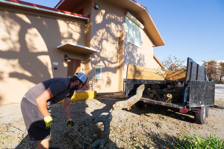 A man with a trucker hat helps move a tree into a pickup truck